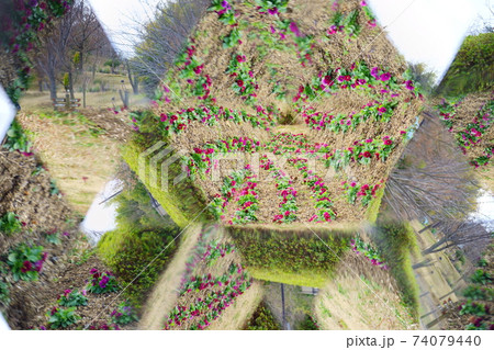 万華鏡で見る公園の花壇11 74079440