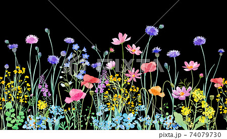 色々な花が咲き乱れる 春の野原の水彩イラスト 横方向シームレスパターン 黒背景 のイラスト素材