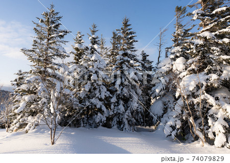 冬山　北海道徳舜瞥山の雪景色-11 74079829
