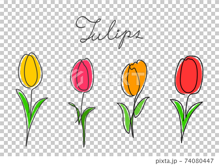 One Stroke Writing Tulip Color Red Yellow Stock Illustration
