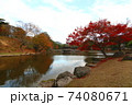 奈良公園の紅葉 74080671