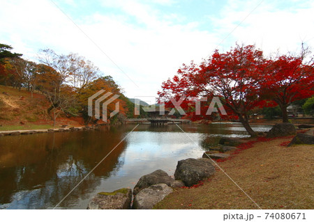 奈良公園の紅葉 74080671
