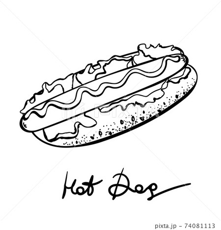 Vector Hotdog With Mustard Doodle Illustration のイラスト素材