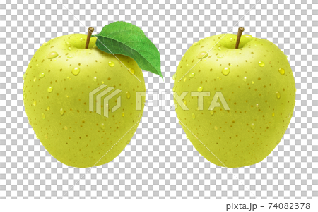 青りんご イラスト リアルのイラスト素材