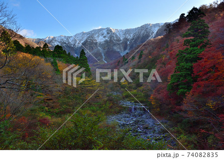 大山の初雪と紅葉2 74082835