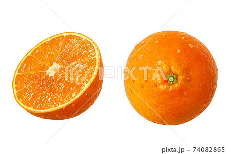 紅まどんな イラスト リアル 紅まどんな イラスト リアル 74082865