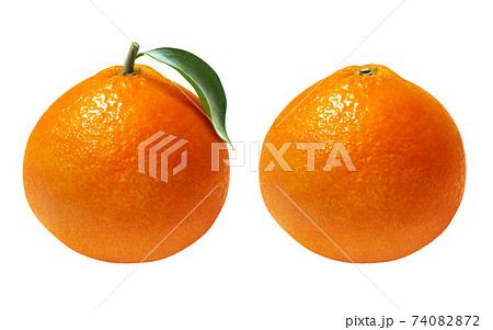 紅まどんな イラスト リアル 紅まどんな イラスト リアル 74082872