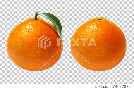 紅まどんな イラスト リアル 紅まどんな イラスト リアル 74082872