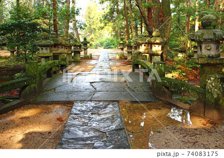 東光寺　雨上がりの墓所（御廟）に続く小さな石橋 74083175