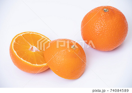 伊予柑　柑橘類のイメージ 74084589
