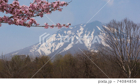 青森弘前にある日本百名山の残雪の岩木山と桜 青森弘前にある日本百名山の残雪の岩木山と桜 74084856