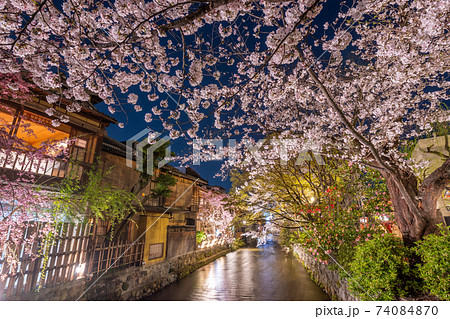 京都　祇園白川　巽橋の桜 74084870