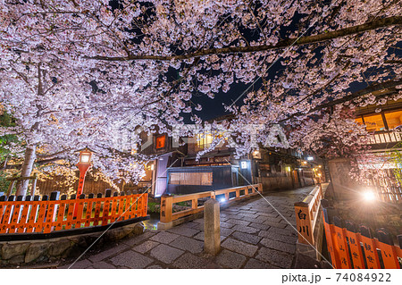 京都　祇園白川　巽橋の桜 74084922
