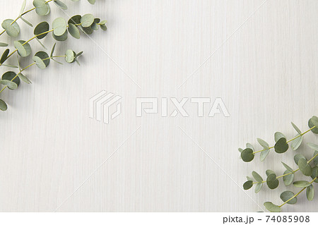白い板目にユーカリ2 白い板目にユーカリ2 74085908
