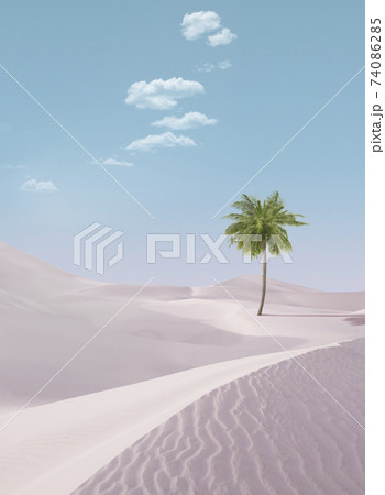 pink dunes 74086285