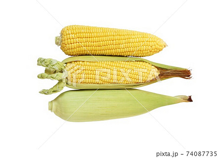 Fresh organic corn isolated on white background with clipping path. 74087735