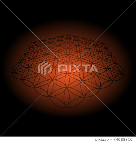 Flower of life isometric gradient 74088310