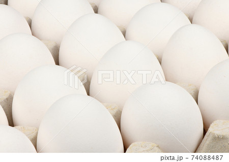 Tray of eggs isolated on white 74088487