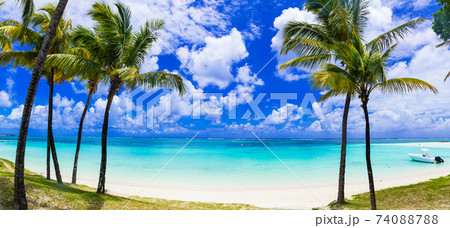 Idyllic tropical scene with palmtrees and turquoise sea. Mauritius island 74088788