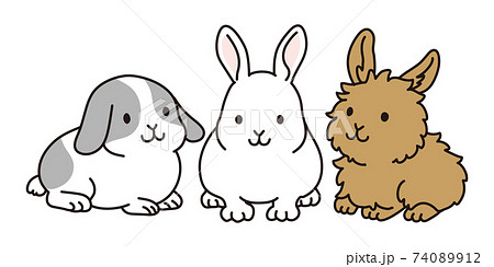 3匹並んだウサギのイラストのイラスト素材
