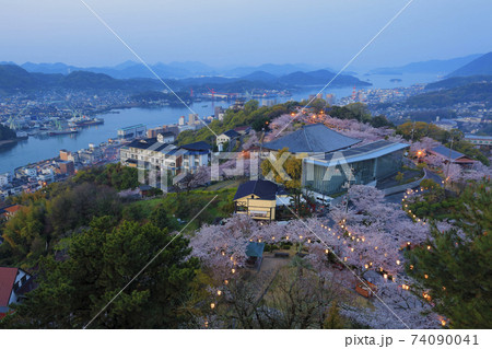 尾道 夜桜 早朝夜景 トワイライト 74090041