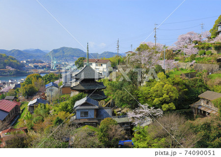 尾道 桜満開 天寧寺三重塔 74090051