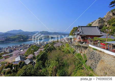 尾道 桜満開 千光寺 74090056