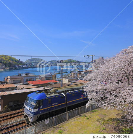 桜満開 尾道水道 JR山陽本線( 浄土寺南側 ) 桜満開 尾道水道 JR山陽本線( 浄土寺南側 ) 74090068