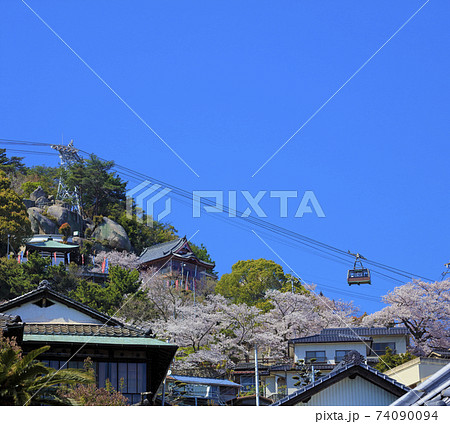 尾道 桜満開 千光寺公園 ロープウェイ 74090094