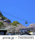 尾道 桜満開 千光寺公園 ロープウェイ 74090095