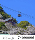 尾道 桜満開 千光寺公園 ロープウェイ 74090096