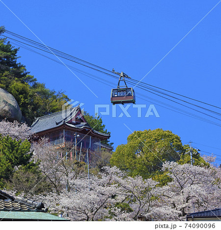 尾道 桜満開 千光寺公園 ロープウェイ 74090096