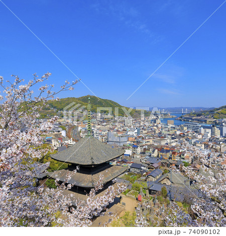 尾道 桜満開 天寧寺三重塔 尾道 桜満開 天寧寺三重塔 74090102