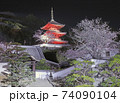 尾道 西國寺 夜桜 夜景 74090104