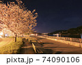尾道 夜桜 駅前広場 ボードウォーク 74090106