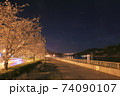 尾道 夜桜 駅前広場 ボードウォーク 74090107