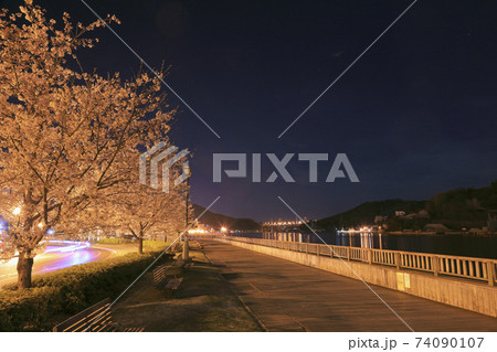 尾道 夜桜 駅前広場 ボードウォーク 74090107