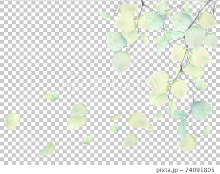 水彩手繪框架綠色自然生態新娘通風全球環境夏季 74091805