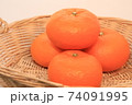 みかん 74091995