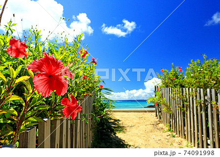 沖縄の青い海と青い空と真っ赤なハイビスカスの写真素材