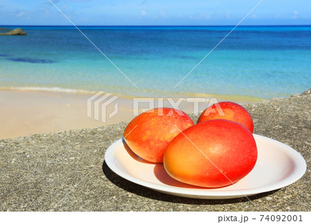 沖縄　宮古島の名物　完熟マンゴー 74092001