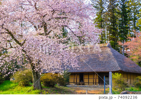 桜咲く古民家2 74092236
