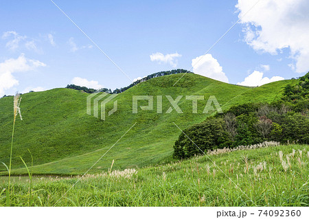 夏の曽爾高原（奈良県） 74092360