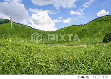 夏の曽爾高原(奈良県) 夏の曽爾高原(奈良県) 74092378