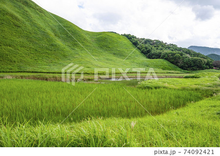 夏の曽爾高原(奈良県) 夏の曽爾高原(奈良県) 74092421