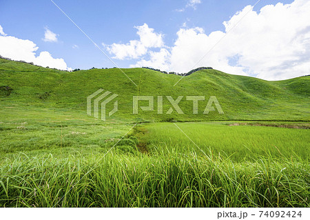 夏の曽爾高原(奈良県) 夏の曽爾高原(奈良県) 74092424