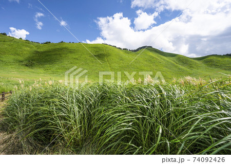 夏の曽爾高原（奈良県） 74092426