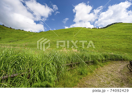 夏の曽爾高原(奈良県) 夏の曽爾高原(奈良県) 74092429
