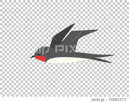 燕子2燕子燕子 燕子2燕子燕子 74092572