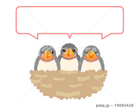 つばめ6 ツバメ 燕 つばめ6 ツバメ 燕 74093426